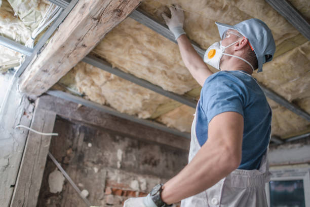 Best Eco-Friendly Insulation in Macungie, PA