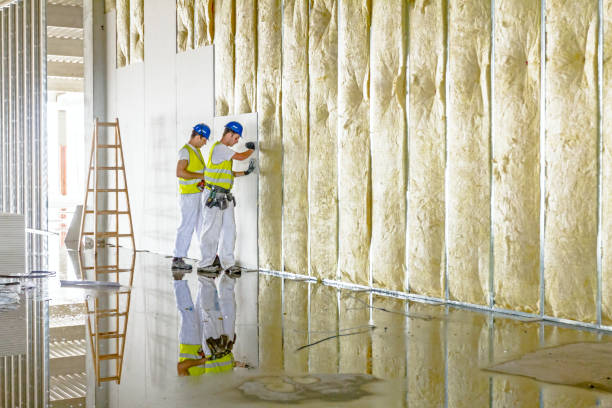Best Geographic-Specific Insulation Services in Macungie, PA